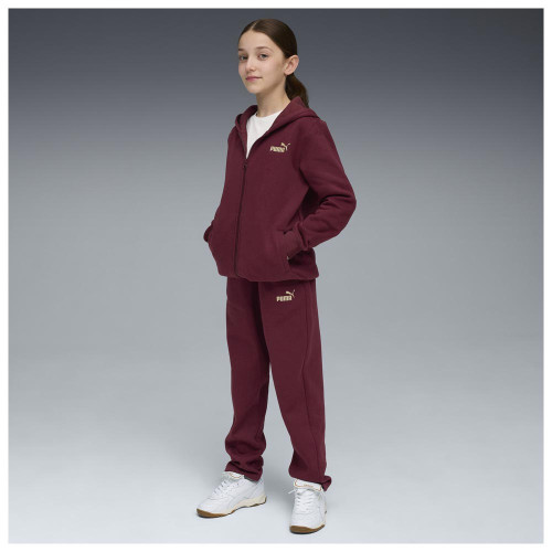 Puma Παιδικές φόρμες σετ Metallic Hooded Sweat Suit
